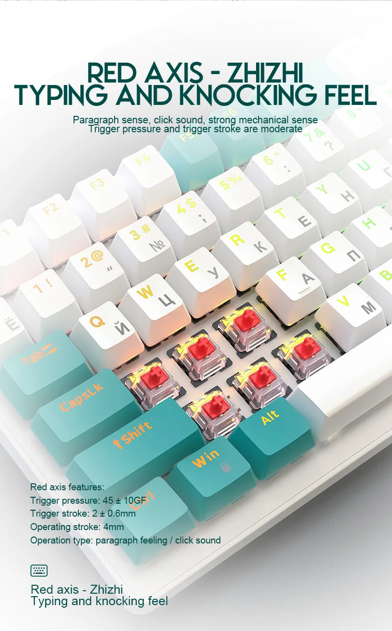K3 Russian Mechanical Keyboard Red/Blue Switch Type-C RGB 9 Light Model 100 Keys Hot Swap Axis Game Computer Customized Keyboard